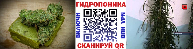 цены   Покров  мега как зайти  Canna-Cookies конопля 