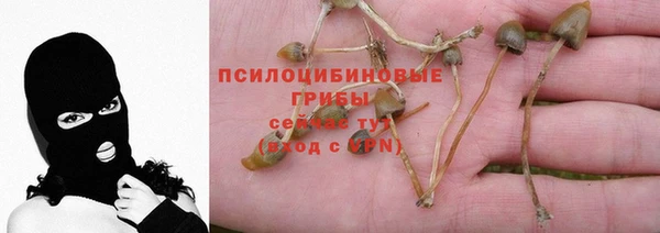герыч Алзамай