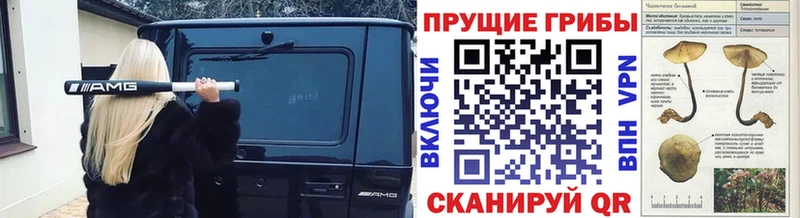 Галлюциногенные грибы Psilocybe  маркетплейс телеграм  Покров 